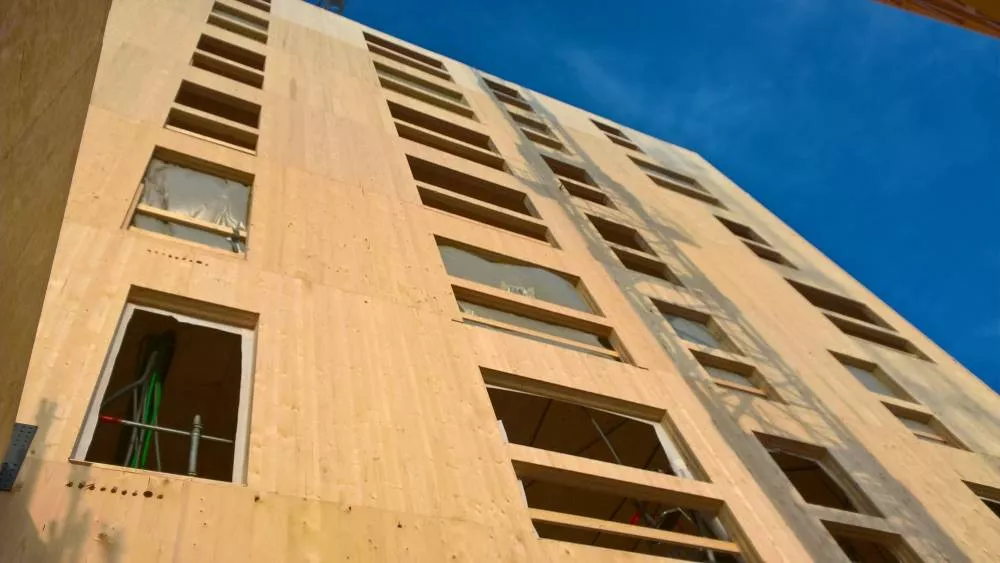 Vue sur la façade arrière en CLT